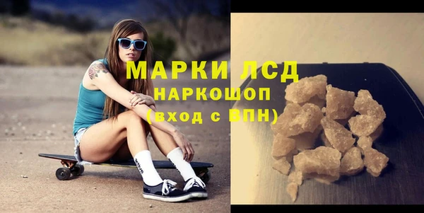 гашик Горняк