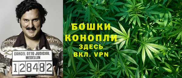 гашик Горняк