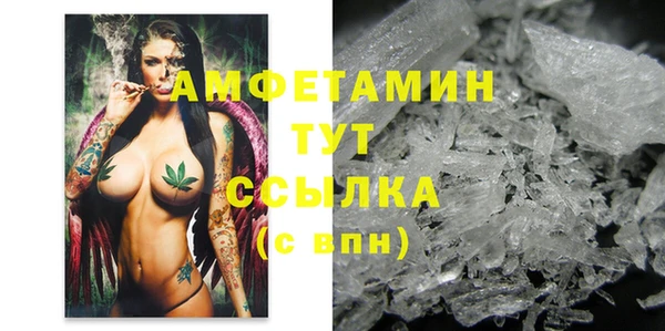 гашик Горняк
