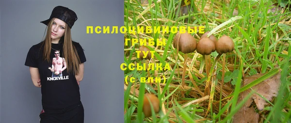 скорость Новозыбков