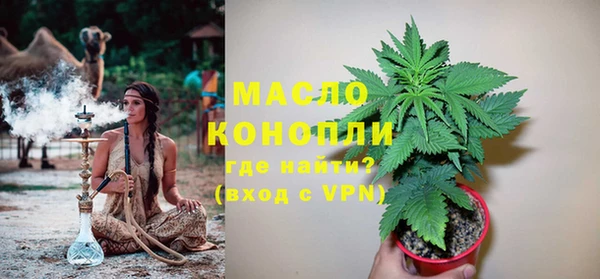 гашик Горняк