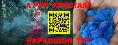 крисы Донской