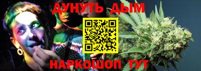 крисы Донской
