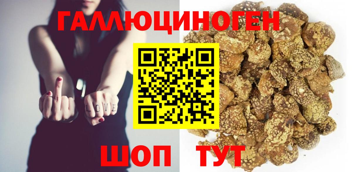 Псилоцибиновые грибы GOLDEN TEACHER  Вход с VPN  Кунгур 