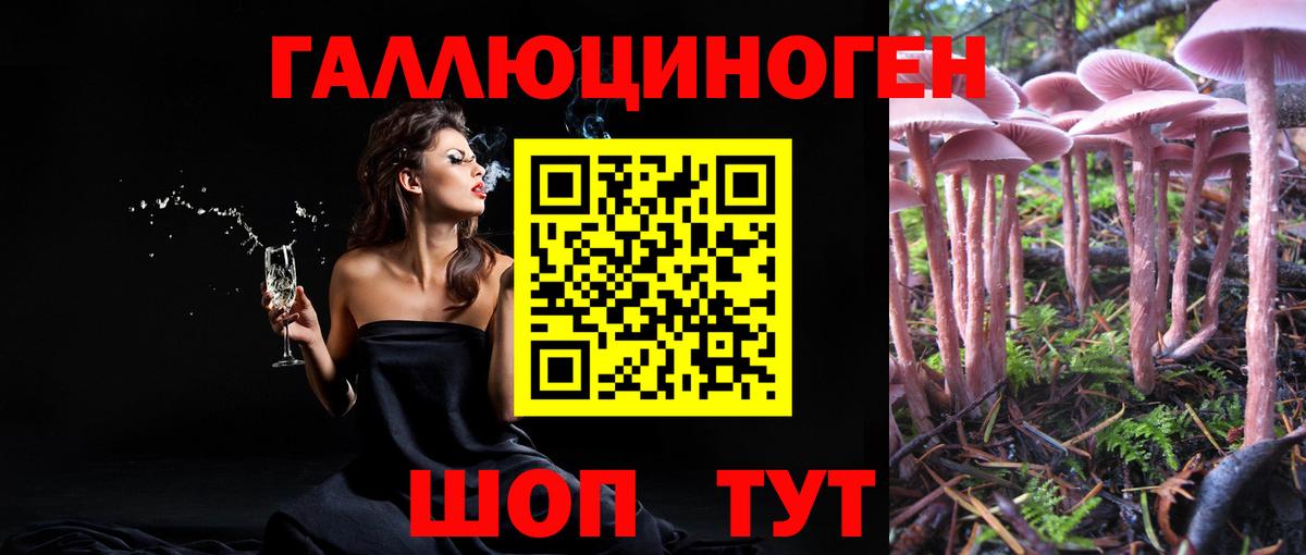 Галлюциногенные грибы мухоморы  Кунгур 