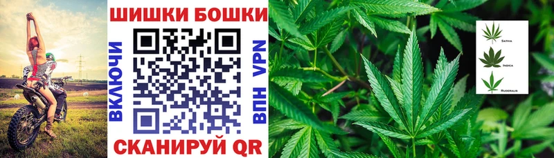 цены наркотик  Кунгур  Канабис SATIVA & INDICA 